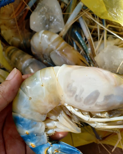 Mr.crab - Gastronomi dan perhotelan