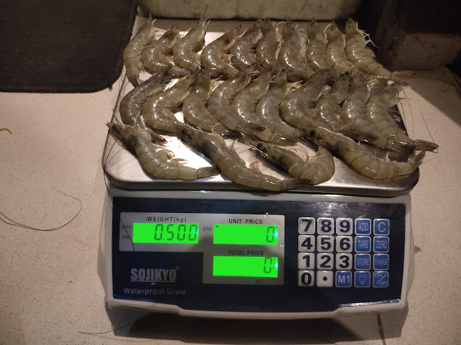 Empang Suppa (Udang dan Ikan Segar)