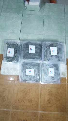 Toko Udang Pekanbaru