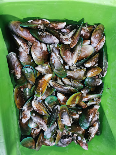 Kerang Rebus Abadi - Gastronomi dan perhotelan