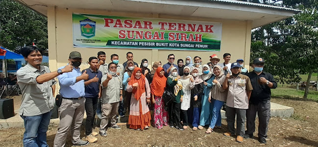 Comentarii opinii despre Pasar ternak sapi, kerbau dan kambing kota sungai penuh
