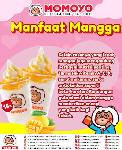 MOMOYO KAPAS KRAMPUNG ICE CREAM