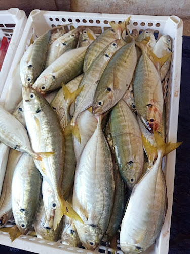 Comentarii opinii despre Lelong makassar online