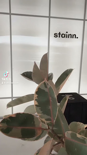 Comentarii opinii despre Stainn Cafe