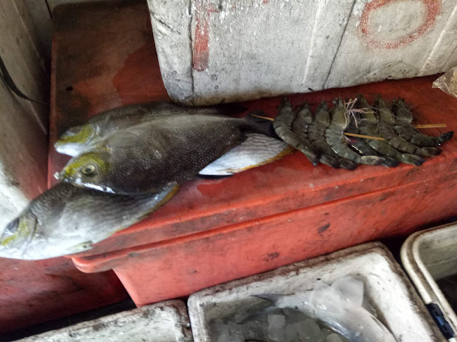 Jl. Sabutung No.46, Gusung, Kec. Ujung Tanah, Kota Makassar, Sulawesi Selatan 90232