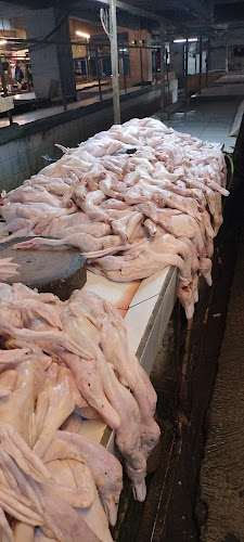 Comentarii opinii despre Bebek aboy basement pasar kosambi