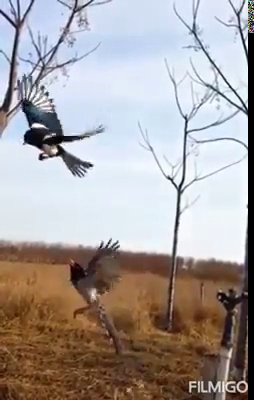 Rawon & Soto Sapi Nikmat