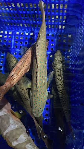 Opinii despre SANG SEAFOOD (SURABAYA BARAT) în Surabaya - Gastronomi dan perhotelan