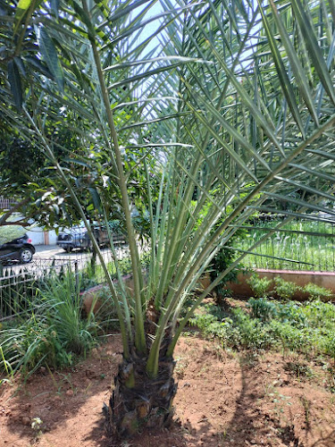 KAFKA HOUSE - Kota Tangerang