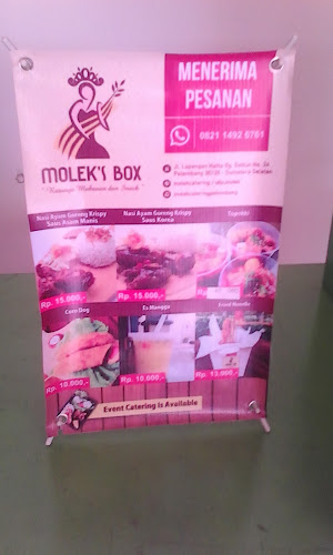 Nasi Kotak Palembang Molek Box - Kota Palembang