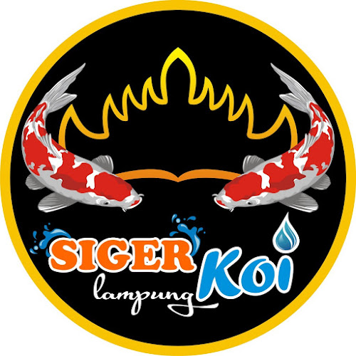 Siger Koi Lampung - Kota Bandar Lampung