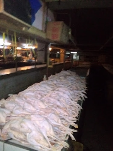 Bebek aboy basement pasar kosambi