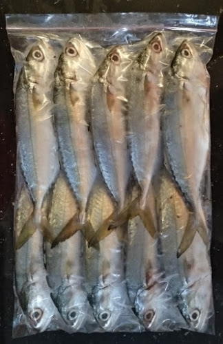 Opinii despre IKAN SEGAR 888 BATAM în Kota Batam - Gastronomi dan perhotelan