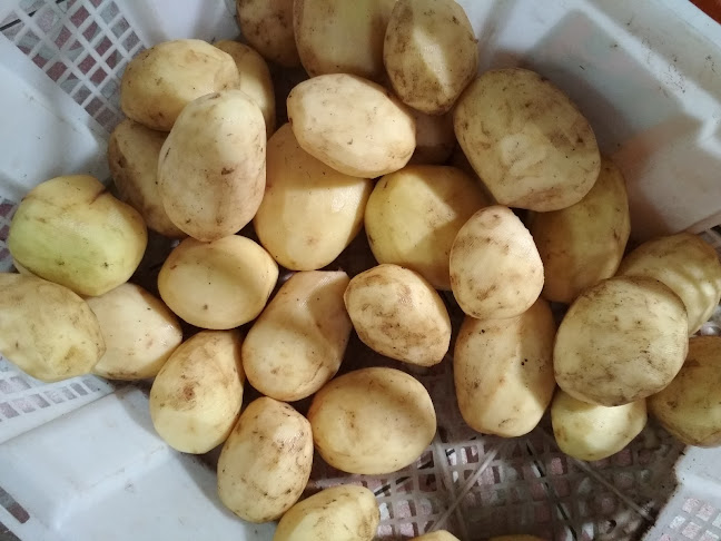 Opinii despre Warung Nasi & Catering Ibu Haji în Kota Depok - Gastronomi dan perhotelan