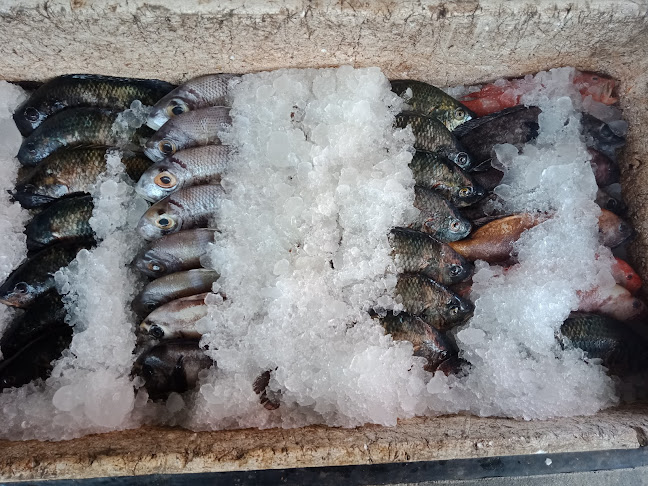 Bunaken Cafe & Resto - Kota Manado