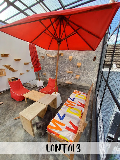 Cat cafe RUMAH KUCING FREYA