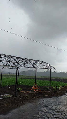 Saungtani Kafe - Gastronomi dan perhotelan