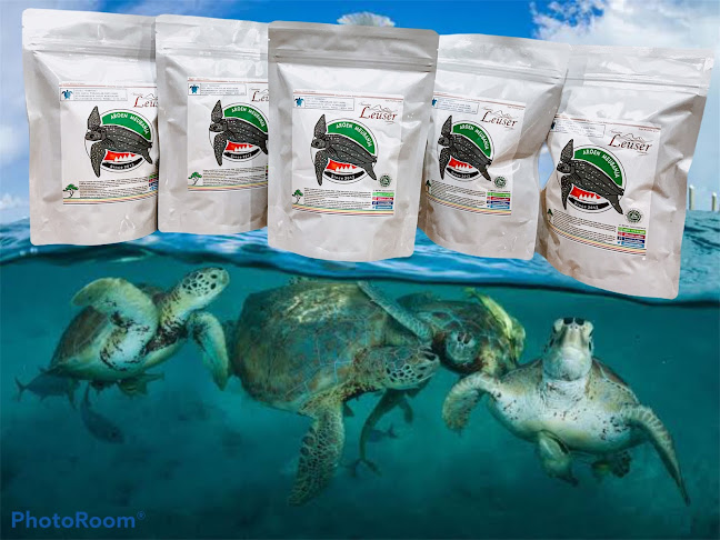 Jl. Teuku Nyak Arief Lrg. PBB 3 No.9, Kopelma Darussalam, Kec. Syiah Kuala, Kota Banda Aceh, Aceh 23111