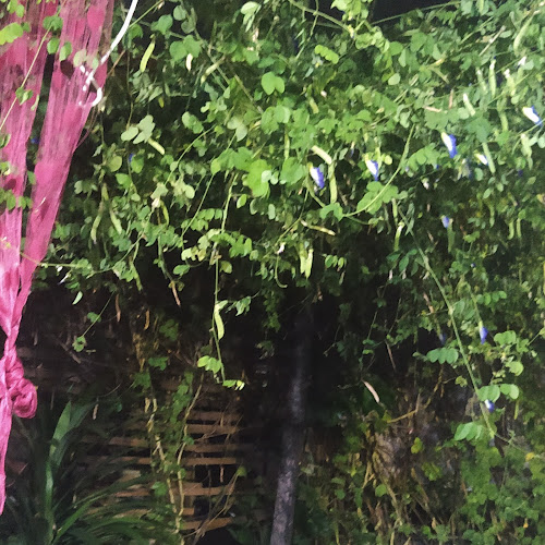 Opinii despre Rumah Queen în Kota Bandar Lampung - Gastronomi dan perhotelan