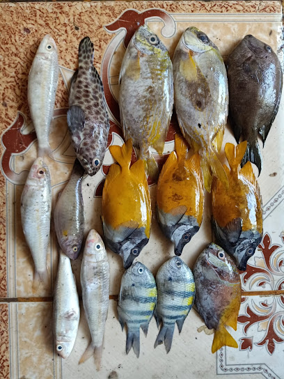 Lelong makassar online