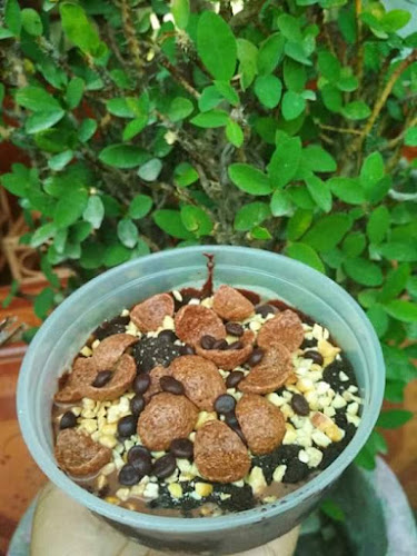 Opinii despre ICE KIKELO în Kota Gorontalo - Gastronomi dan perhotelan