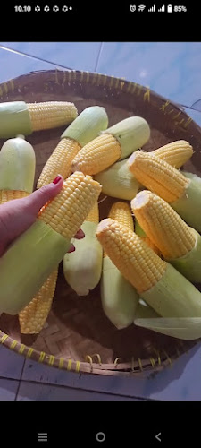 Es jagung zizi - Gastronomi dan perhotelan