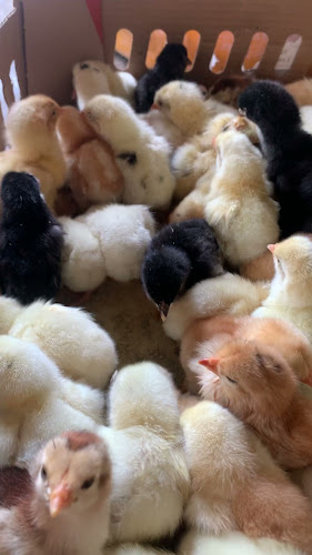 Gg. Min No.75, Medokan Ayu, Kec. Rungkut, Surabaya, Jawa Timur 60295