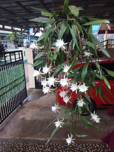 Opinii despre The Adiwijaya Lounge în Kota Bandar Lampung - Gastronomi dan perhotelan