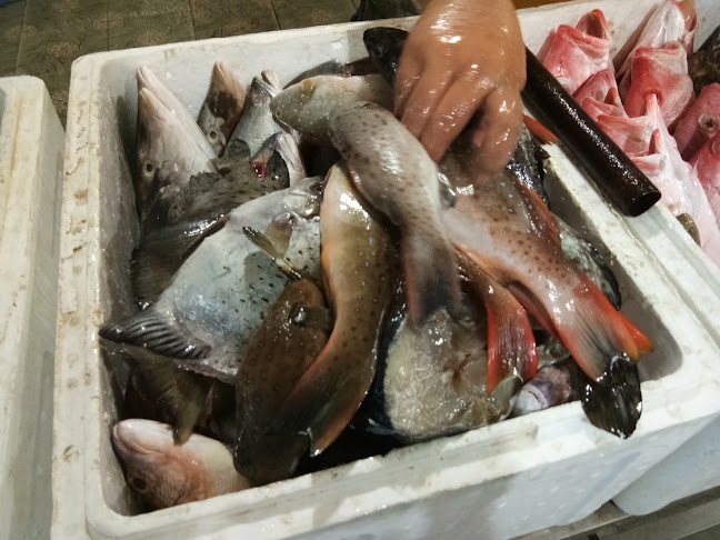 Comentarii opinii despre Rumah Makan Sumber Aroma