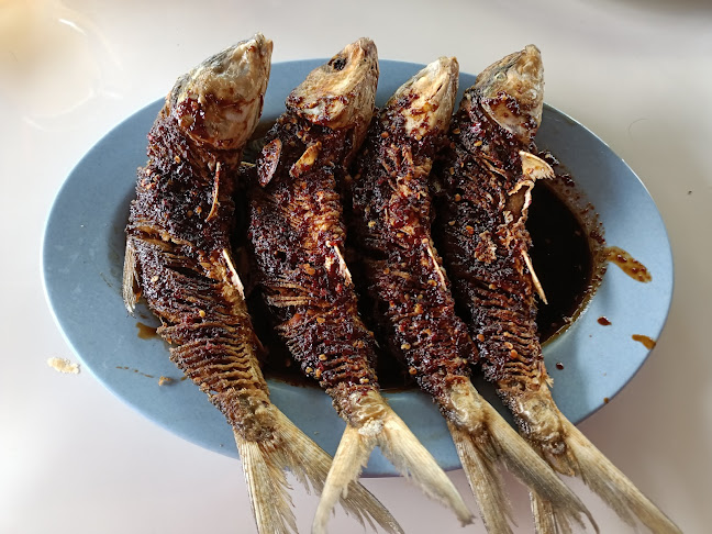 Victory Lesehan Dan Pemancingan - Kota Semarang