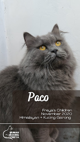 Smart Resident, Jl. Tukad Balian No.100, Renon, Denpasar Selatan, Kota Denpasar, Bali 80266