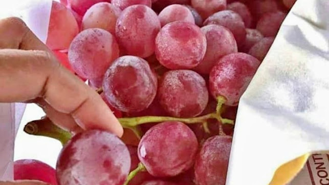 Grosir buah makassar