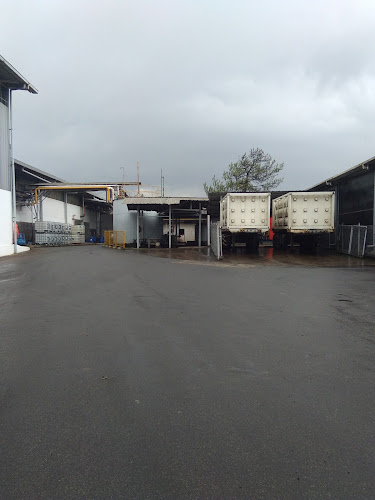 Raja Madu Pahit Asli Indonesia Jl.Nanjung Utama Cimahi Selatan Jawa Barat - Kota Cimahi