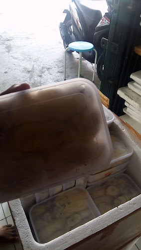 Durenku Store - Durian Jogja (ꦣꦸꦫꦺꦤ꧀ꦏꦸꦱ꧀ꦠꦺꦴꦫꦺꦣꦸꦫꦶꦪꦤ꧀ꦗꦺꦴꦒ꧀ꦗ) - Kota Yogyakarta