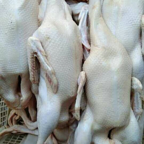 Comentarii opinii despre Jual & Pesan Ayam | Bebek Pak Amin Pasar Kruka Surabaya