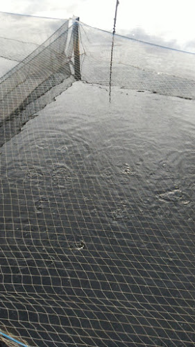 Opinii despre KERAMBA PAK WILLY în Kota Dumai - Gastronomi dan perhotelan