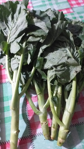 Comentarii opinii despre Bubur Bayi BABY MEALS Kota Batu