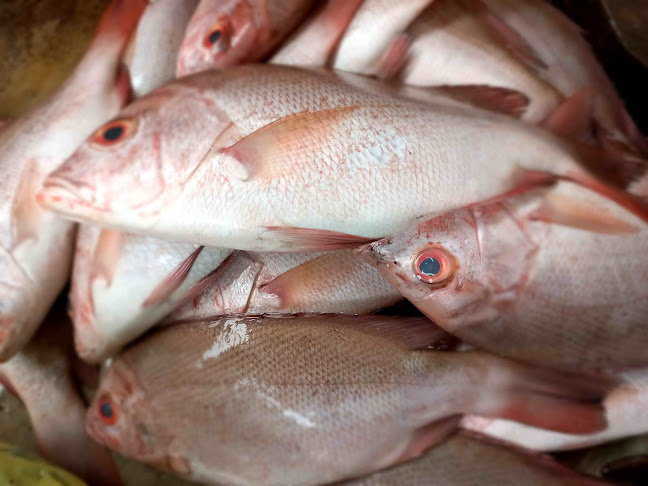 Opinii despre Mr.crab în Kota Palangka Raya - Gastronomi dan perhotelan