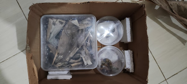 Ceka Family Farm - Gastronomi dan perhotelan