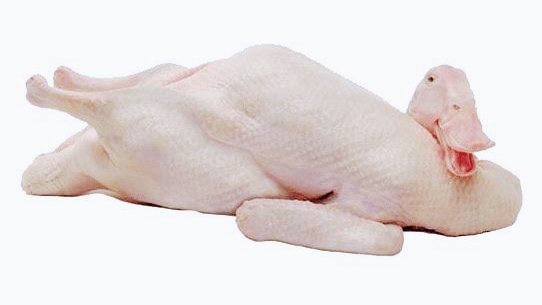 Opinii despre Jual & Pesan Ayam | Bebek Pak Amin Pasar Kruka Surabaya în Surabaya - Gastronomi dan perhotelan