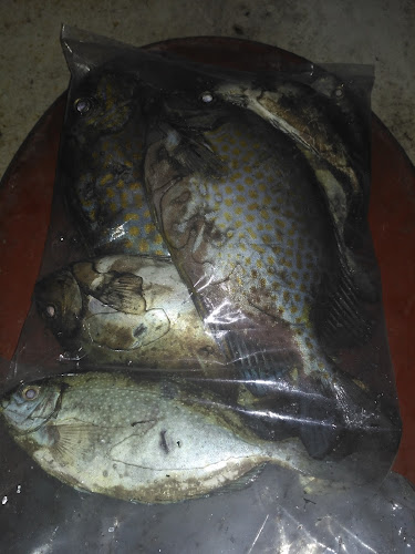 Warung ikan bakar bu putu 2 - Kota Denpasar