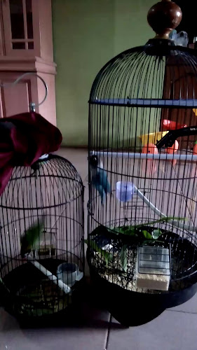 kedai coffee 21 - Kota Pontianak