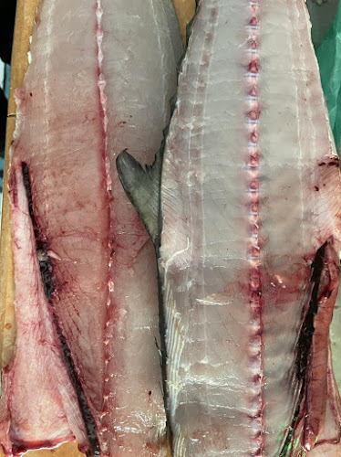 Enimrayafish (Agen Ikan Giling)