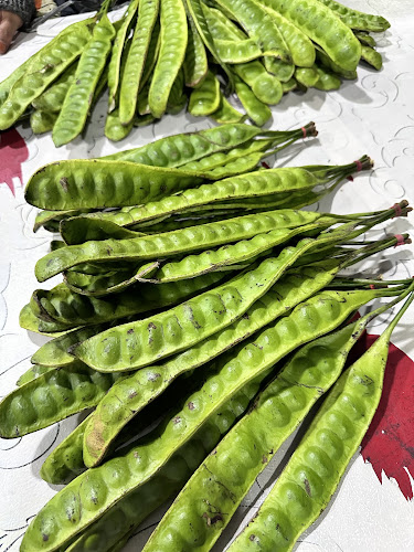 Opinii despre Yayuk Seafood în Kota Jambi - Gastronomi dan perhotelan