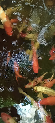 Warung Kopi Ngangeni - Gastronomi dan perhotelan