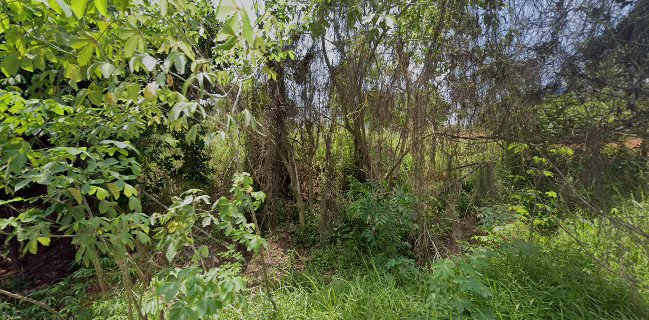 BEMBAN HILLS - Kota Batam