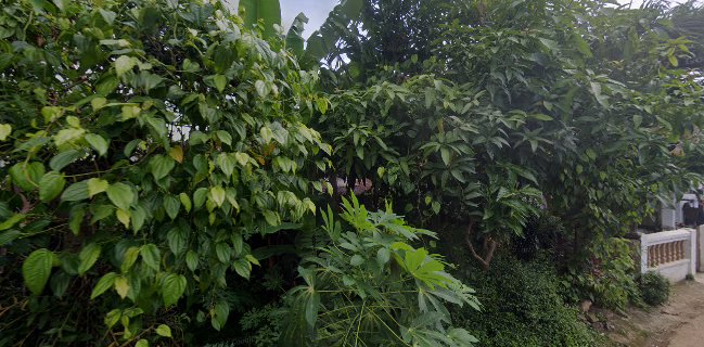 Seblak Seafood Ammar