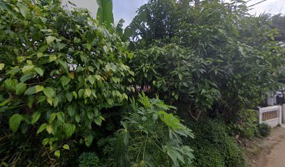 Seblak Seafood Ammar