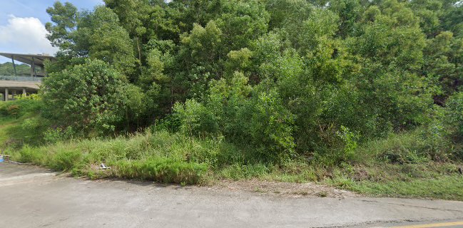 Sweet Bite's Patisserie