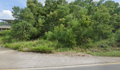 Sweet Bite's Patisserie